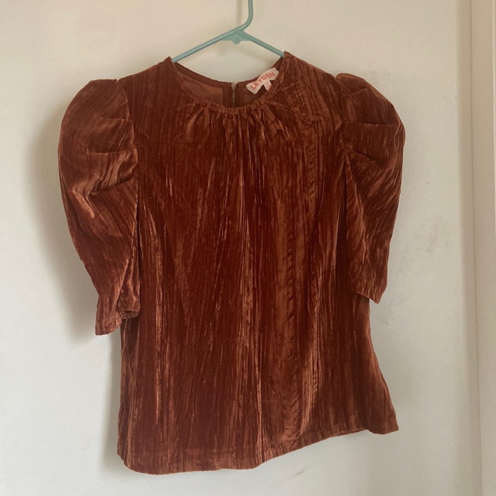 Puff Sleeved Velvet Rust Top